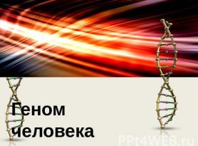 Progetto internazionale.  Genoma umano.  Presentazione sul tema del genoma umano. L'opera può essere utilizzata per lezioni e relazioni sull'argomento