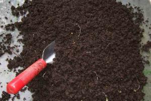 AKCH: cos'è, perché usarlo e come preparare l'applicazione del Compost tea