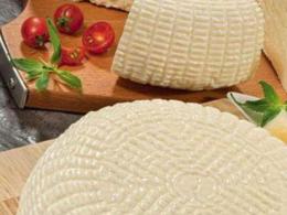 Zapečeni sir u rerni - ukusan izbor recepata za sir Da li je moguće koristiti sir Adyghe za pečenje?