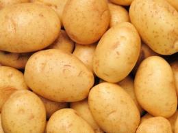Koliko kalorija i vitamina ima u kuvanom krompiru?